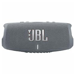 Caixa de Som JBL Charge 5 Bluetooth - Cinza