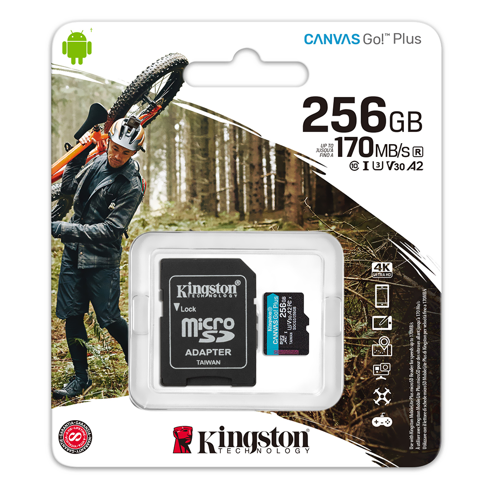 Cartão de Memória Micro SD Kingston Canvas GO Plus U3 V30 256GB