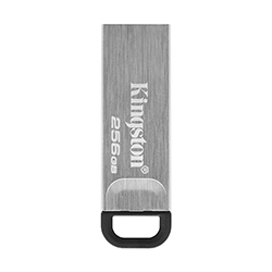 Pendrive Kingston 256GB USB 3.2 - Prata (DTKN/256GB)