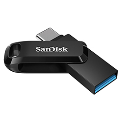 Pendrive SanDisk G46 Ultra Dual Drive Go 256GB USB 3.1 / Type-C - Preto