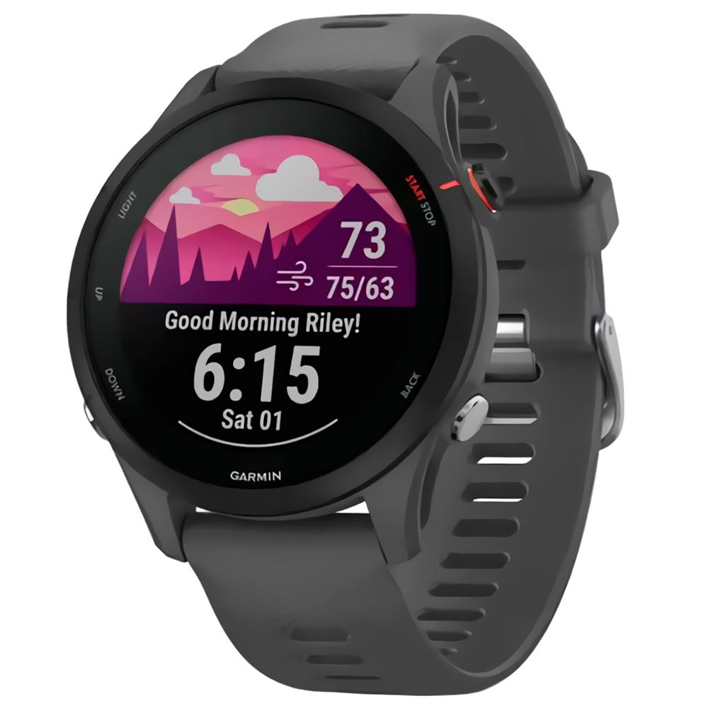 Relógio Garmin Forerunner 255 - Cinza (010-02641-00)