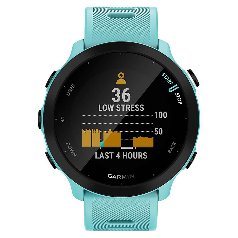 Relógio Garmin Forerunner 55 - Azul (010-02562-02)