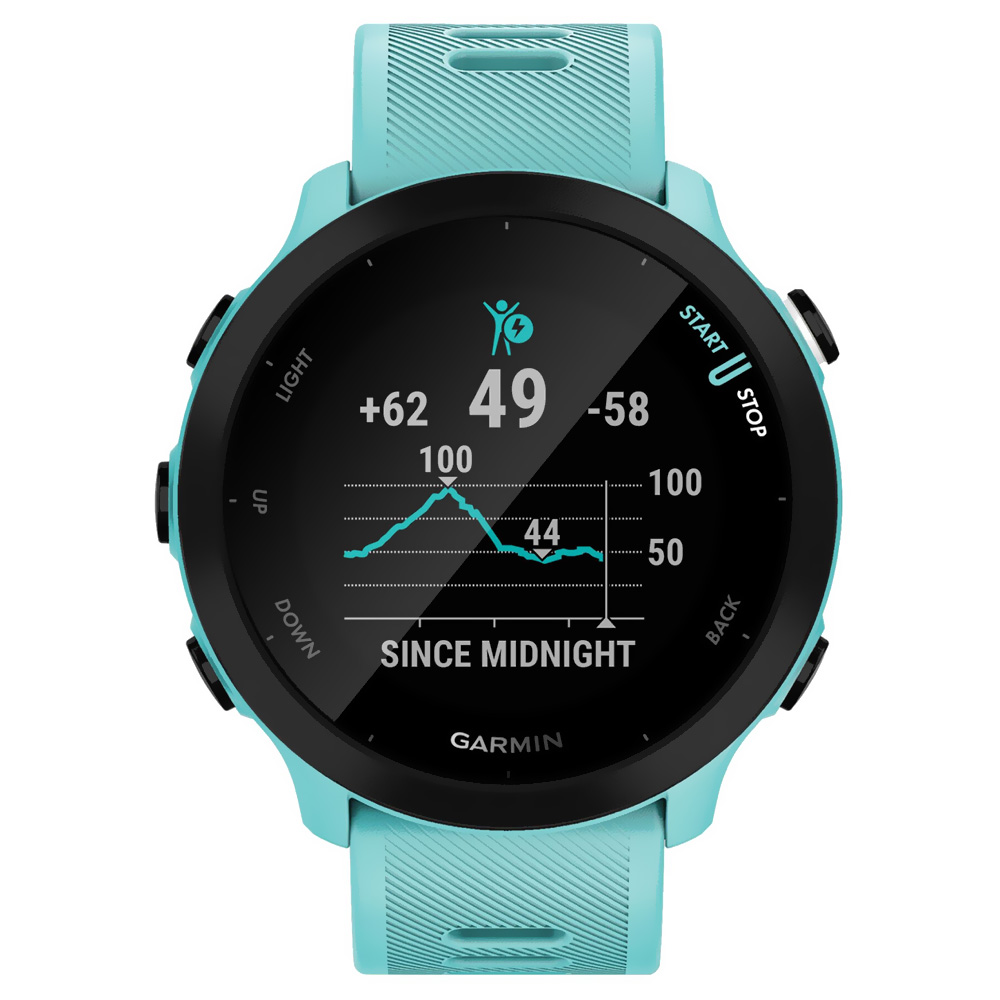Relógio Smartwatch Garmin Forerunner 55 - Azul (010-02562-12)