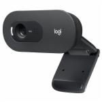 Webcam Logitech C505 720P / HD - 960-001372